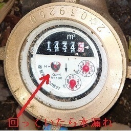 20210202.jpg